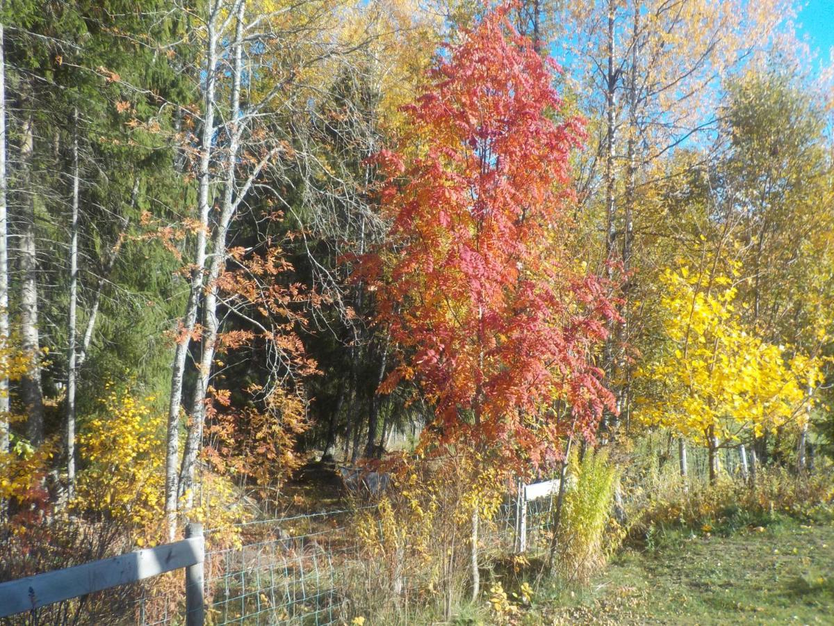 Lovelund Farm. Cottage Hagfors Bagian luar foto